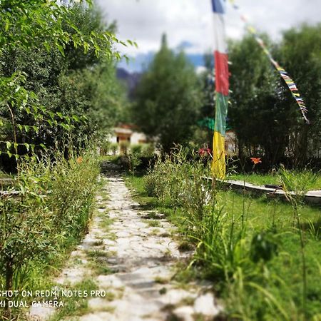 Lotus Eco Resort Hundar ภายนอก รูปภาพ